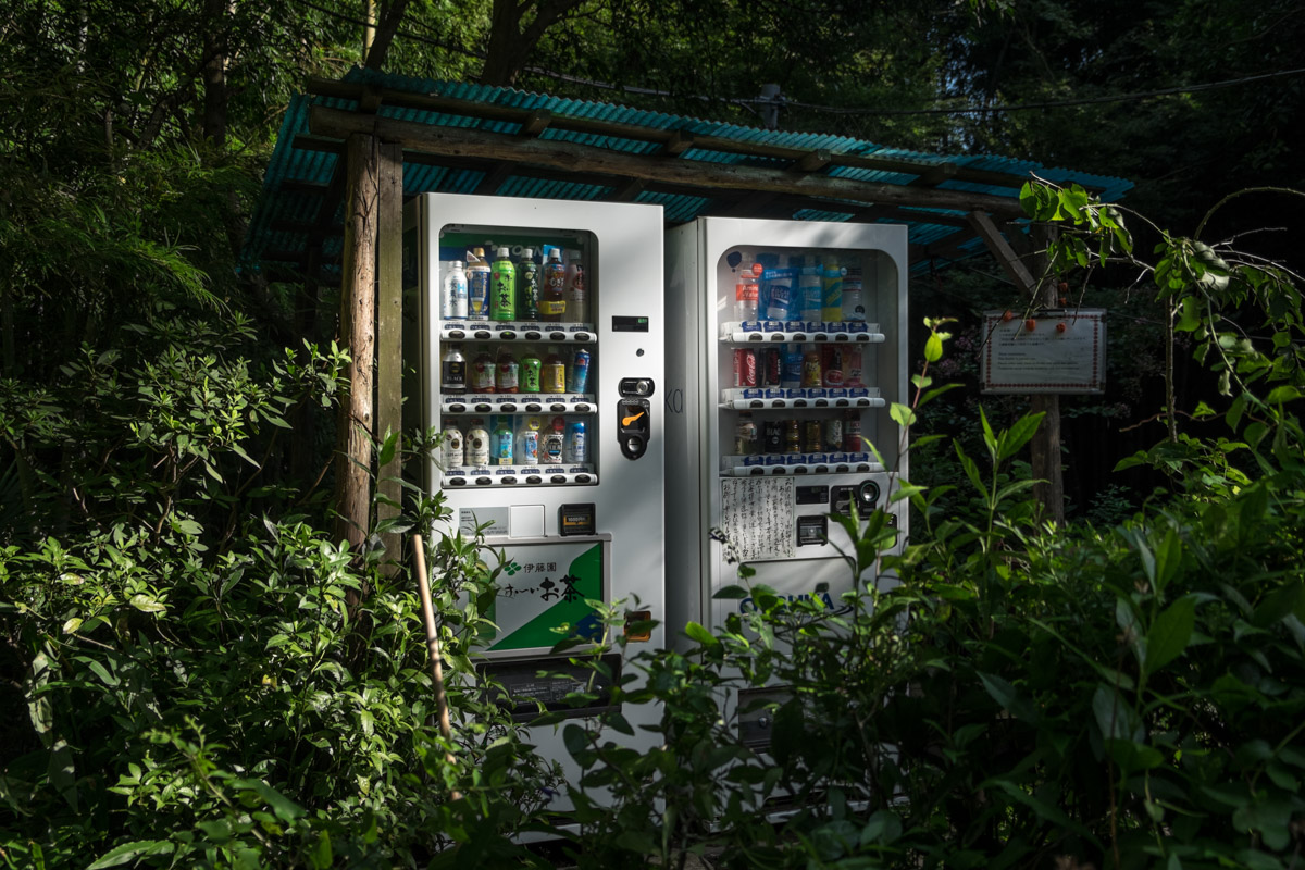 43 - Jungle dispenser, Kamakura (2018)