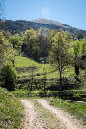 Hike from Ribes del Freser, Spagna