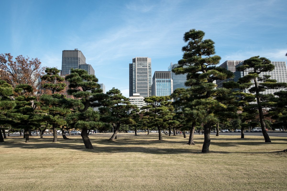 Imperial Palace gardens